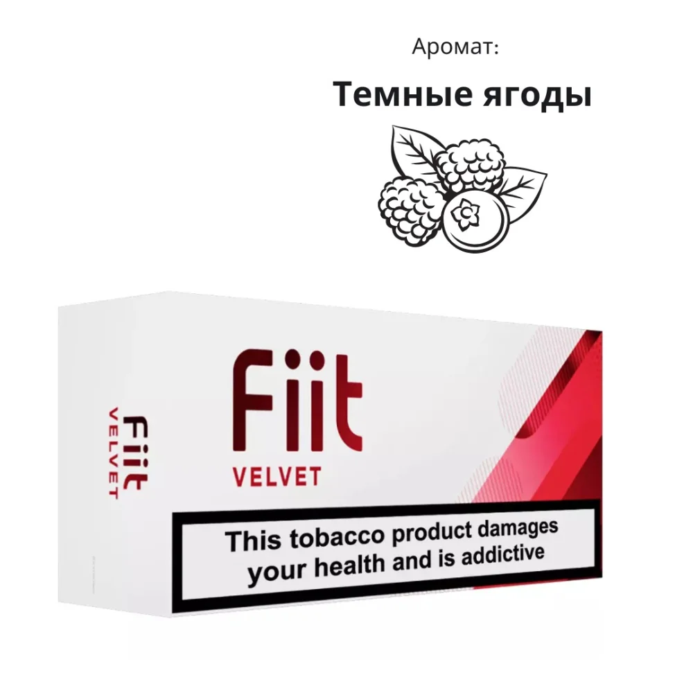 FiiT Velvet